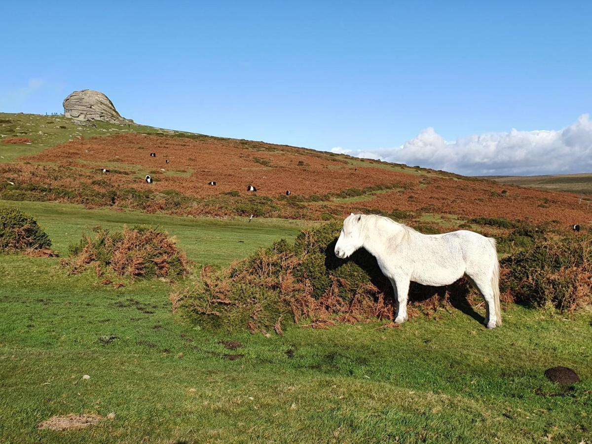 The Stable - The Cottages At Blackadon Farm Ivybridge Bagian luar foto